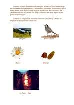 Esszék 'Lettland', 2.                