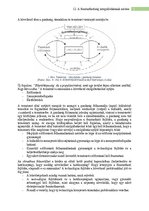 Kutatási anyagok 'Fenntarthatóság mérése', 5.                