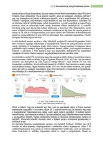 Kutatási anyagok 'Fenntarthatóság mérése', 9.                