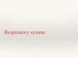 Prezentációk 'Respiratory System', 1.                