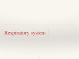 Prezentációk 'Respiratory System', 1.                
