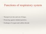 Prezentációk 'Respiratory System', 5.                
