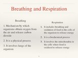 Prezentációk 'Respiratory System', 6.                