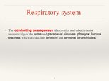 Prezentációk 'Respiratory System', 7.                
