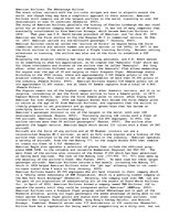 Esszék 'American Airlines - The Advantage Airline', 1.                