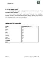 Üzleti tervek 'Company "Destination Asia"', 8.                