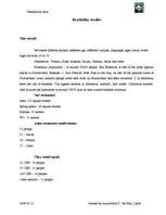 Üzleti tervek 'Company "Destination Asia"', 24.                