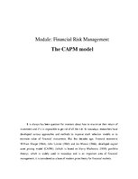 Kutatási anyagok 'Financial Risk Management. The CAPM Model', 1.                