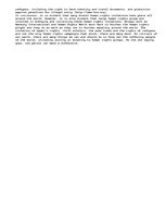 Esszék 'Human Rights around the World', 3.                