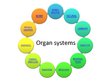 Prezentációk 'Changes of Different Organ Systems during Pregnancy', 2.                