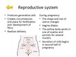 Prezentációk 'Changes of Different Organ Systems during Pregnancy', 3.                