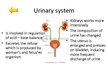 Prezentációk 'Changes of Different Organ Systems during Pregnancy', 5.                