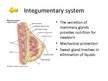 Prezentációk 'Changes of Different Organ Systems during Pregnancy', 12.                