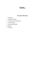Esszék 'NATO Forum', 1.                