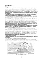 Esszék 'A szegedi veszedelem', 1.                