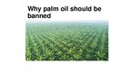 Prezentációk 'Palm Oil', 1.                