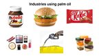 Prezentációk 'Palm Oil', 3.                