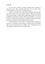 Záródolgozatok 'Die Auswirkungen der Fernsehunterhaltungssendungen auf den Fremdsprachenerwerb', 3.                