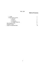 Gyakorlati jelentések 'The Company "SDX"', 2.                