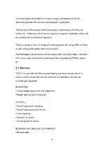 Gyakorlati jelentések 'The Company "SDX"', 4.                