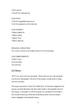 Gyakorlati jelentések 'The Company "SDX"', 5.                