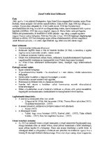 Esszék 'József Attila kései költészete', 1.                