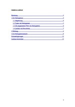 Kutatási anyagok 'Neologismen und ihr stilistischer Effekt in Werbetexten', 2.                