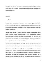 Kutatási anyagok 'The Role of IMF and its Impact on Latvia and Argentina', 25.