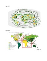 Összefoglalók, jegyzetek 'Trade', 17.                