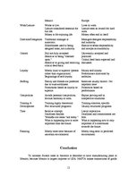 Üzleti tervek 'International Business Analysis - Swatch', 12.                