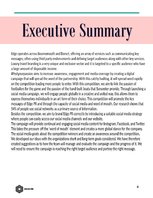 Üzleti tervek 'Public Relation Campaign', 4.                