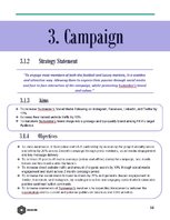 Üzleti tervek 'Public Relation Campaign', 18.                