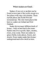 Kutatási anyagok 'Snakes', 3.                