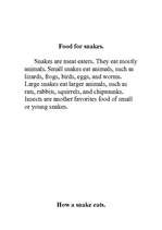 Kutatási anyagok 'Snakes', 4.                