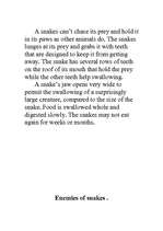 Kutatási anyagok 'Snakes', 5.                