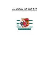 Kutatási anyagok 'Anatomy of the Eye', 1.                