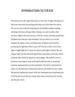 Kutatási anyagok 'Anatomy of the Eye', 2.                