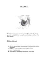 Kutatási anyagok 'Anatomy of the Eye', 3.                