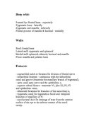 Kutatási anyagok 'Anatomy of the Eye', 4.                