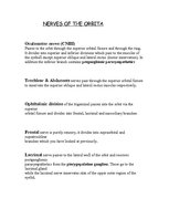 Kutatási anyagok 'Anatomy of the Eye', 5.                