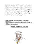 Kutatási anyagok 'Anatomy of the Eye', 6.                