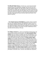 Kutatási anyagok 'Anatomy of the Eye', 10.                