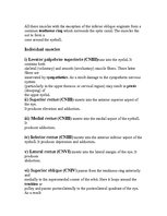 Kutatási anyagok 'Anatomy of the Eye', 12.                