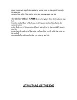 Kutatási anyagok 'Anatomy of the Eye', 13.                