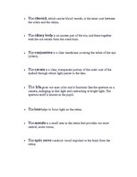 Kutatási anyagok 'Anatomy of the Eye', 15.                