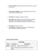 Kutatási anyagok 'Anatomy of the Eye', 16.                