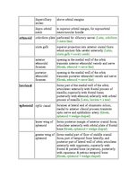 Kutatási anyagok 'Anatomy of the Eye', 17.                