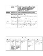 Kutatási anyagok 'Anatomy of the Eye', 18.                
