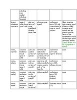 Kutatási anyagok 'Anatomy of the Eye', 19.                