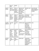 Kutatási anyagok 'Anatomy of the Eye', 20.                
